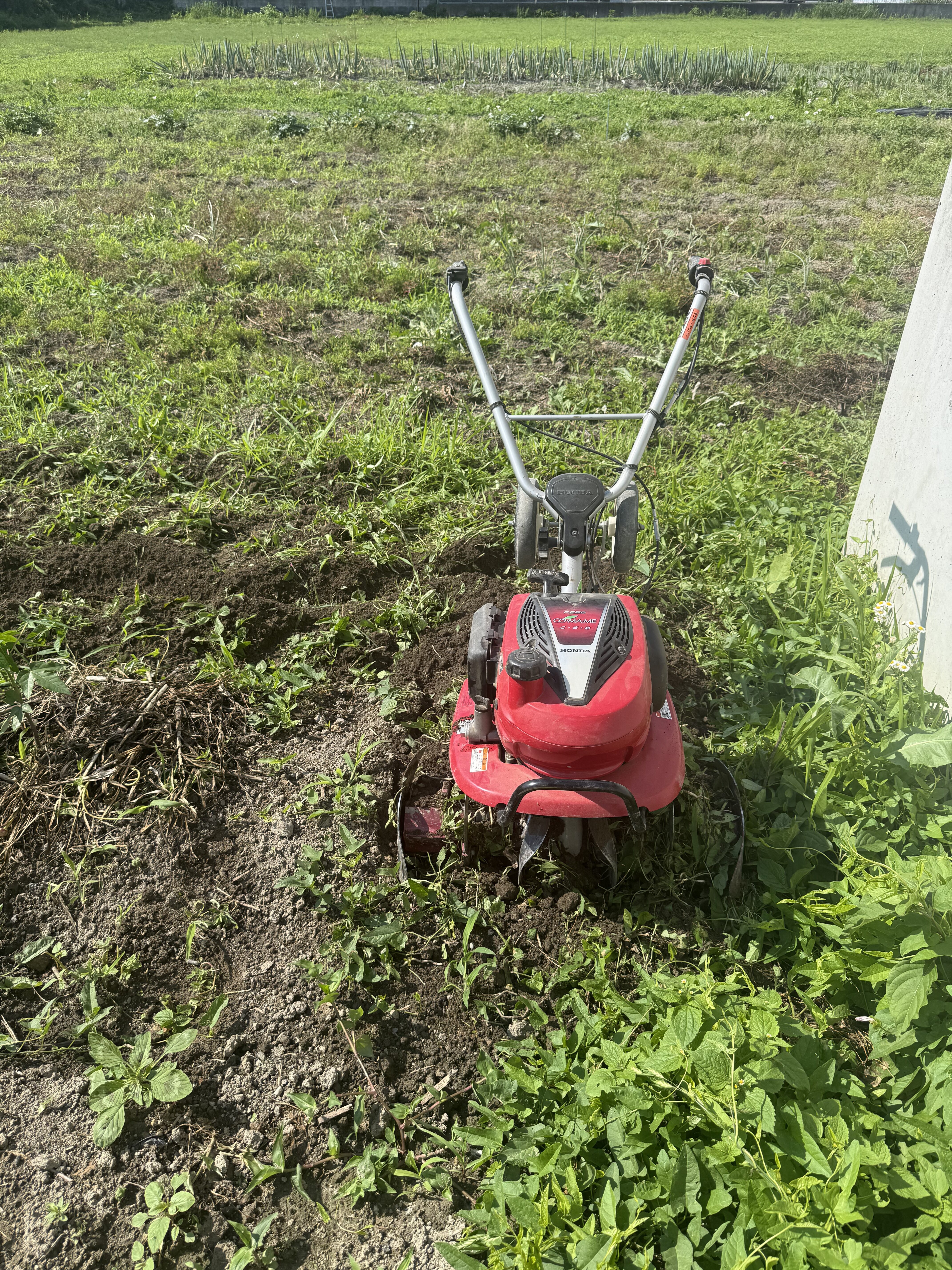 新規畑 耕起前の状態②
