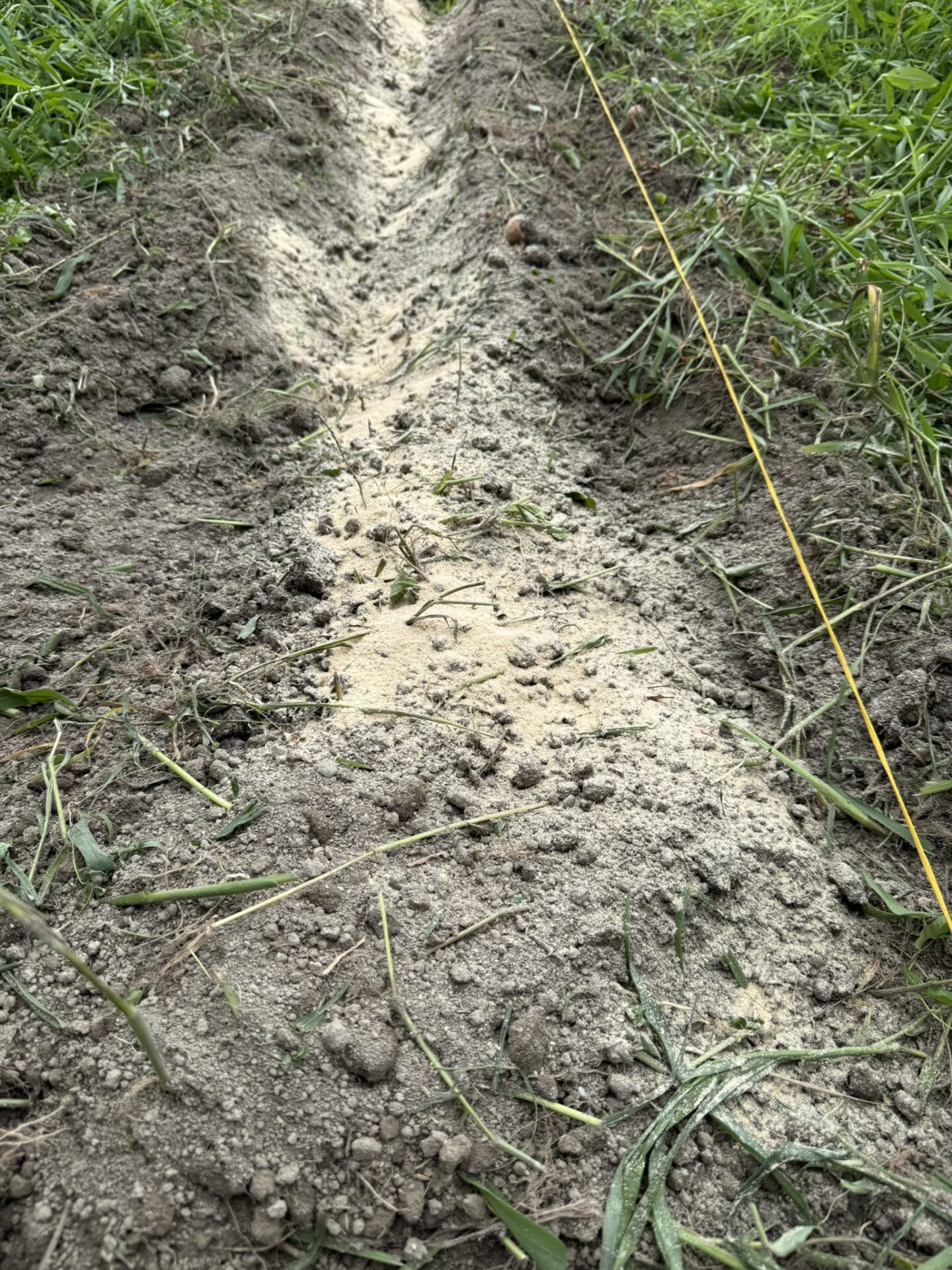 畝に切った溝に米ぬかを撒いたところ