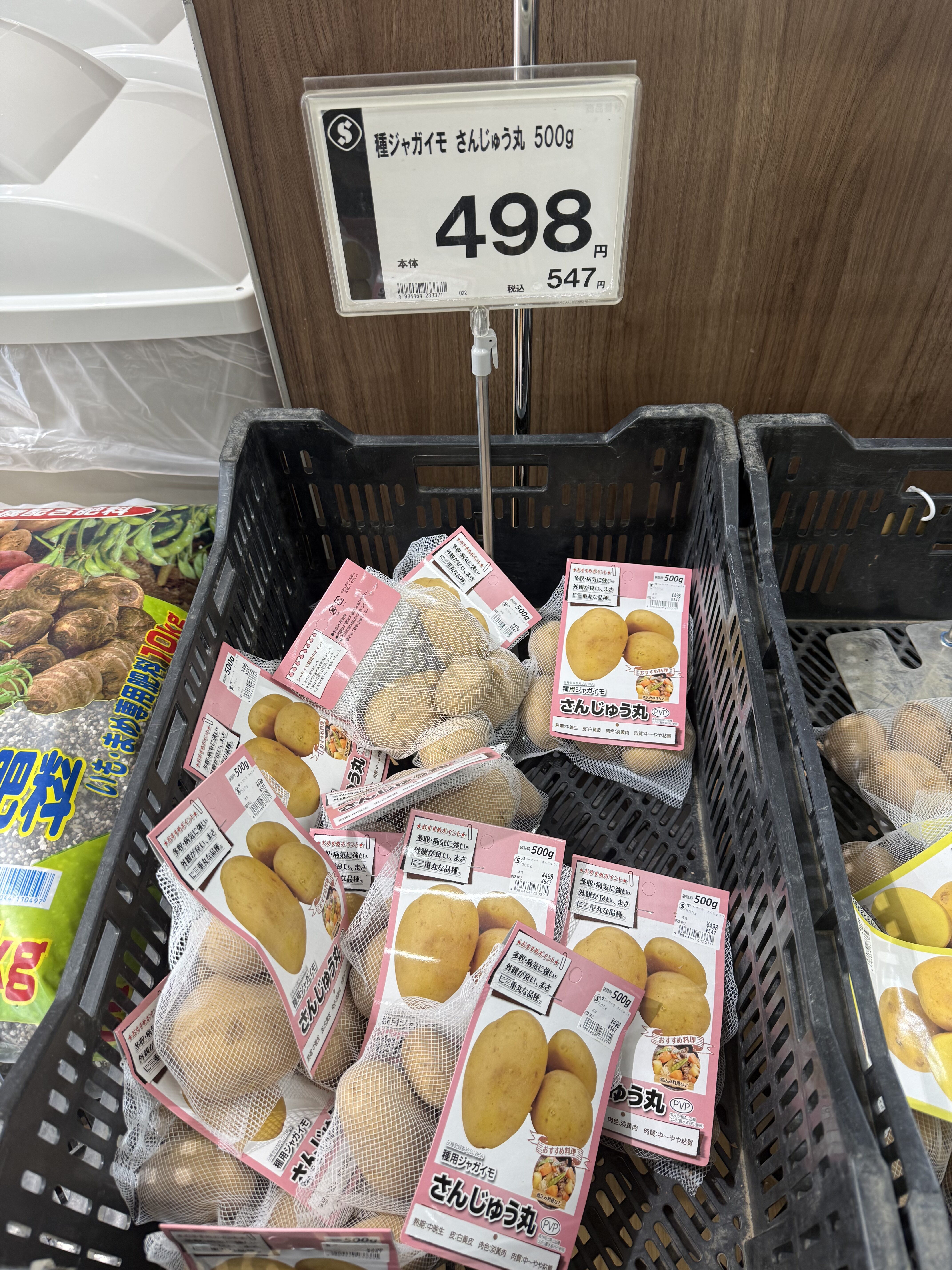 種ジャガイモ「さんじゃく丸」500g入りの店頭陳列