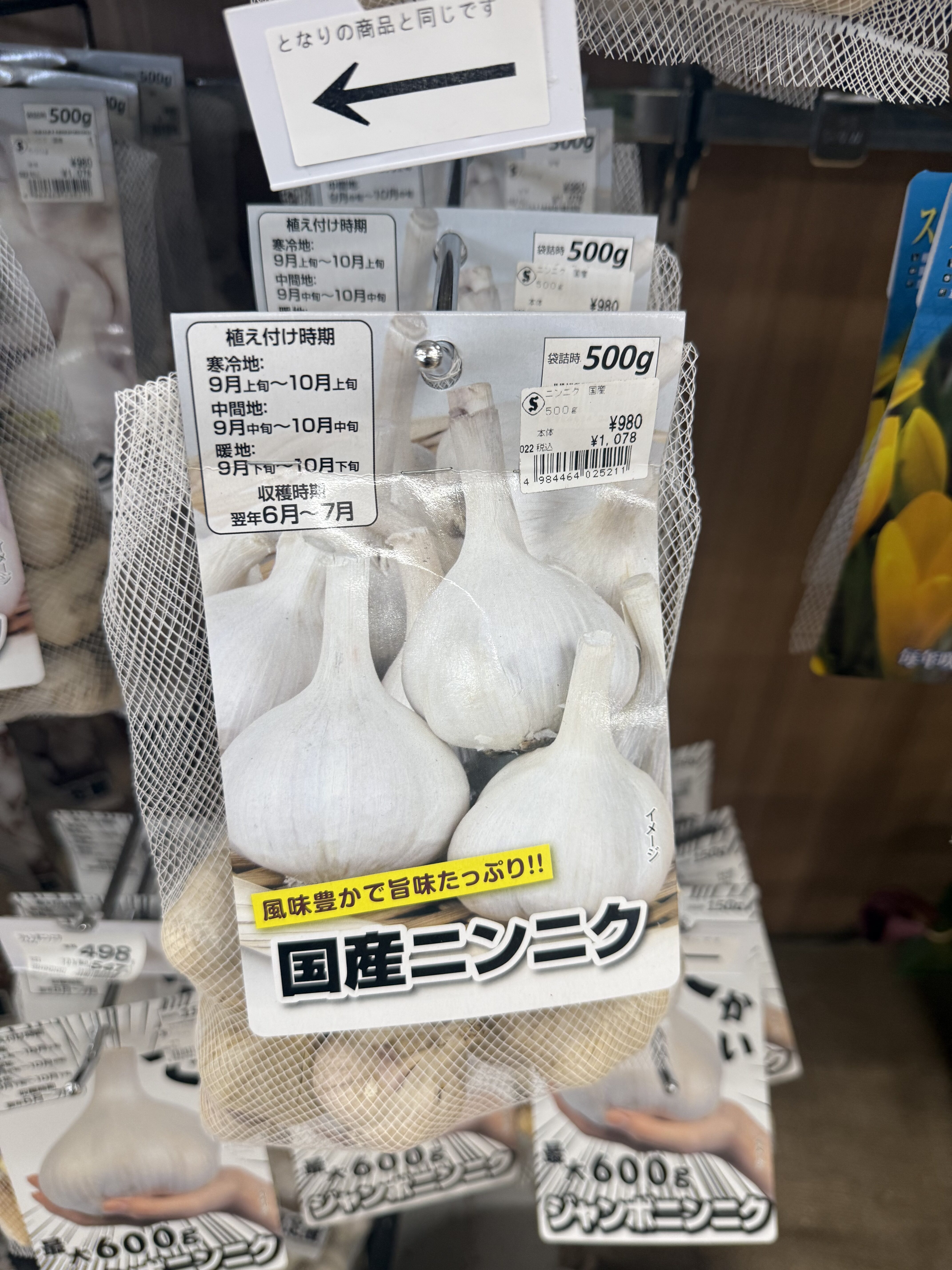 国産ニンニク種球500gのパッケージ。植え付け時期の目安が記載されている